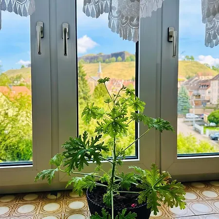 Spacieuse Maison A De 300 M² Avec 8 * Бич